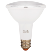 LED Par 30 Lamp